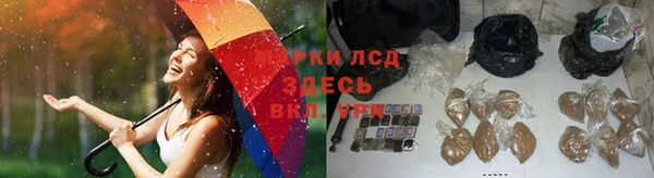 ALPHA PVP Покров