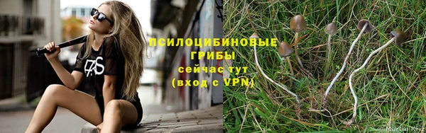 ALPHA PVP Покров