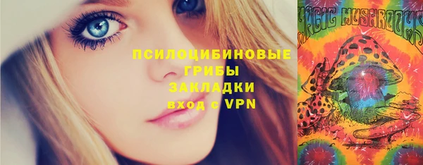 ALPHA PVP Покров