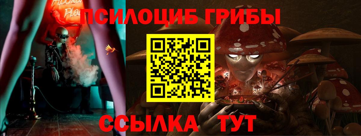 Краснотурьинск  Галлюциногенные грибы мухоморы  Вход с VPN  Псилоцибиновые грибы Psilocybine cubensis 