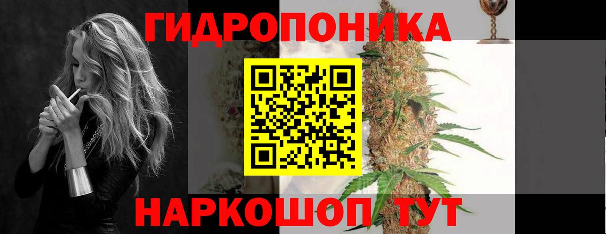 Бошки марихуана сатива  Бошки Шишки White Widow  Марихуана тримм  Вход с VPN  Краснотурьинск  МАРИХУАНА SATIVA & INDICA 